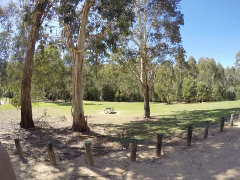 Beautiful clearing with a picnic table