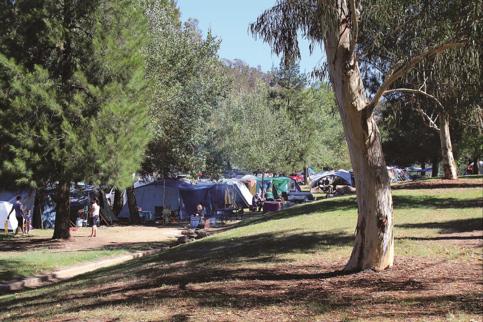 Cotter Campground. Photo courtesy of Mark Will.