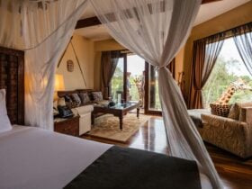 Photo of Giraffe Treehouse featuring 4 poster king bed, living room and view of two giraffes.