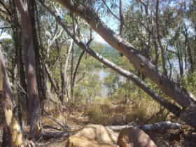 Original 9012569 Actc Black Mountain Photo Ehangui