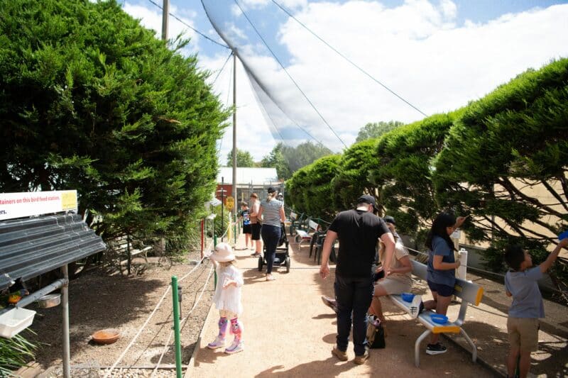 Customers of all ages feeding and observing our birds