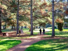 Haig Park