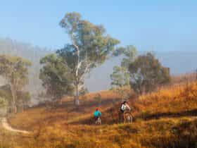 Kambah Trail