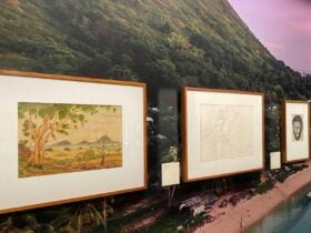 Collection pieces at a gallery