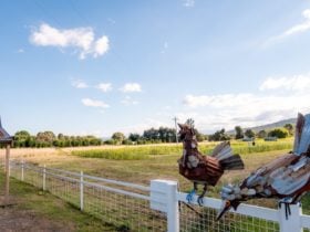 Found Object Chicken Sculptures on Majura Road