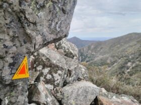 Mindjagari Track marker on rock with mountain view