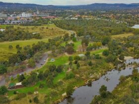 aerial view of Pine Island Reserve