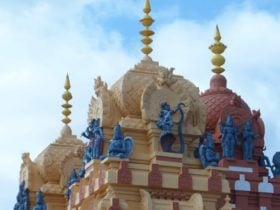 Statues and spires atop the Vishni Siva Mandir Temple and Library