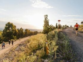 Stromlo Running Festival