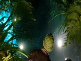 People walking in the rainforest at night time