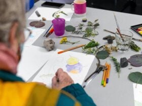 A photograph over the shoulder of an elderly person drawing gum leaves from real ones on the table
