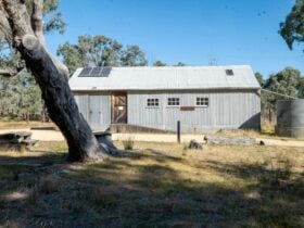 Picture of Mulligans Flat Woolshed