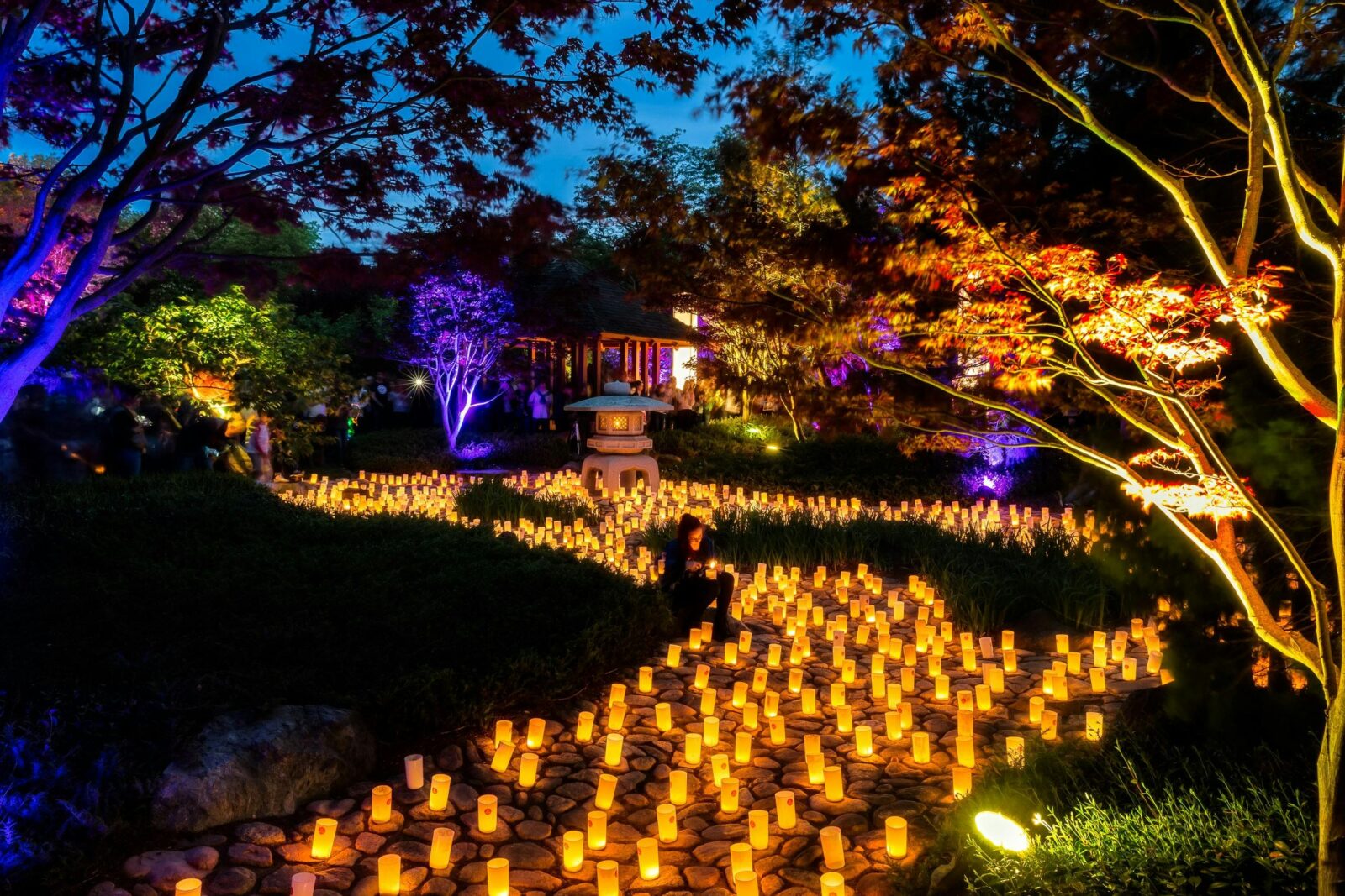 Canberra Nara Candle Festival