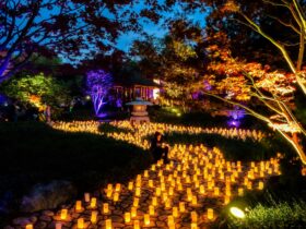 Canberra Nara Candle Festival