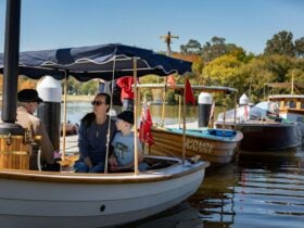 Several boats at BoatFest 2024