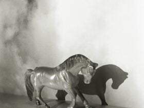 A black and white image of a toy horse in a cloudscape