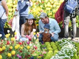Floriade