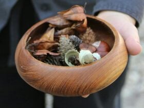 An adult hand holds a wooden bowl filled with seeds, pods and acorns