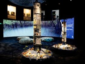 Mangroves - Tales of the Tide exhbition space at Questacon