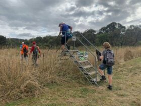 24km Walkers passing the half-way point