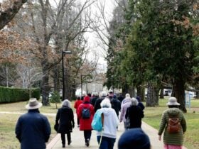 People walking through a tree lined path
