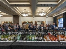National Wine Festival - EXPO Tasting