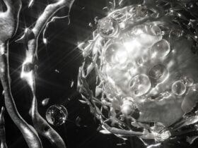 black and white abstract fluid imagery