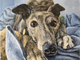 An artwork showing a brown dog, maybe a greyhound, cuddled up in a blue blanket.