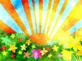Flowers and Sunshine