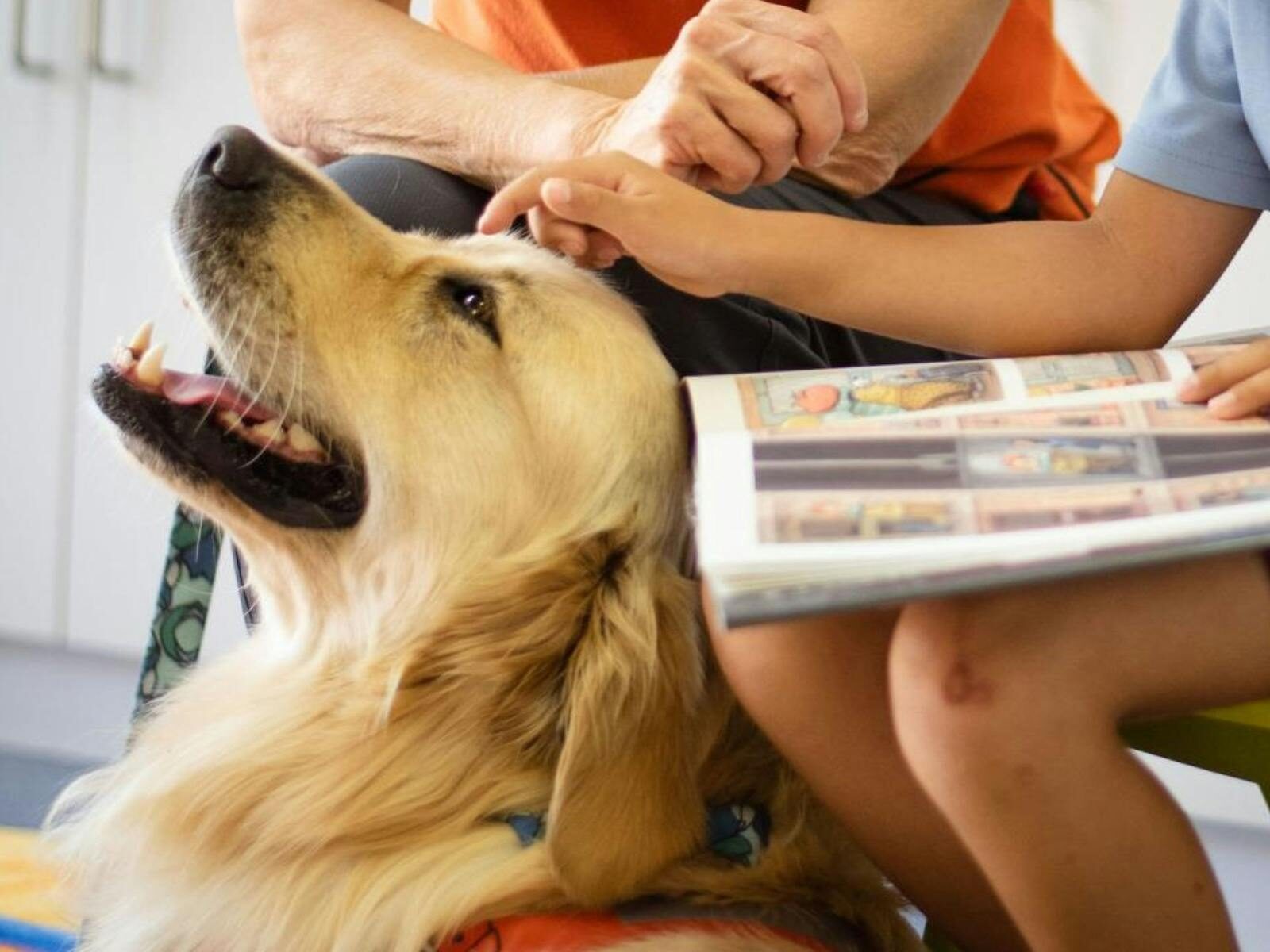 A child and volunteer patting a dog.