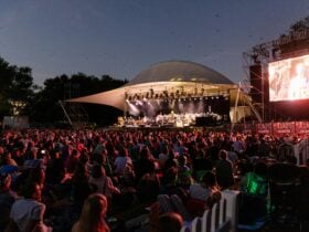 Hoodoo Gurus at Stage 88 Canberra for Symphony in the Park