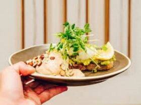 Hand holding a plate of food