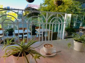 GreenHouse Coffee and Co