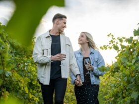 Vines walk at Mount Majura