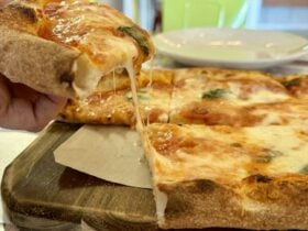 Slice of pizza with melted cheese