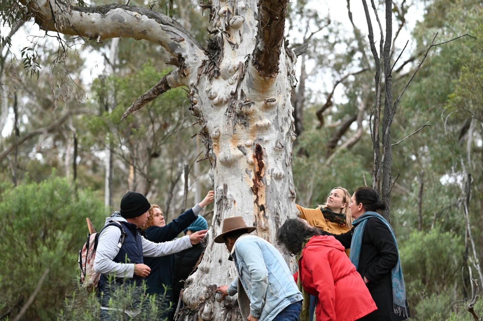 Tour guide and group outdoors learning about the land