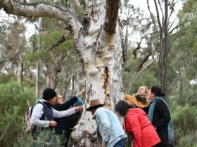 Tour guide and group outdoors learning about the land