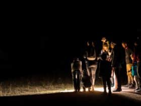 A group of guests on a twilight Tour, spotlighting