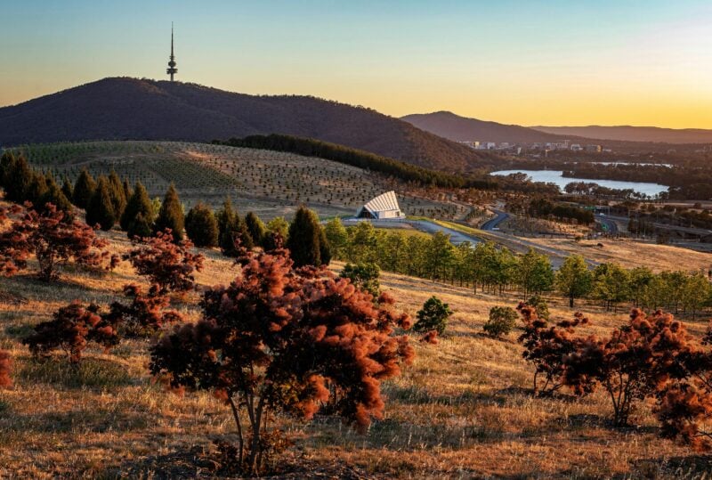 View across the forests with Black Mountain in the background.
