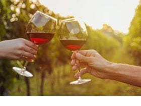 Canberra's wine district has many boutique wineries offering tasting experiences for wine lovers