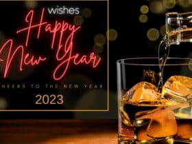 Cellarbrations Erindale