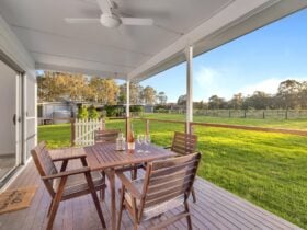 Back verandah overlooking vines