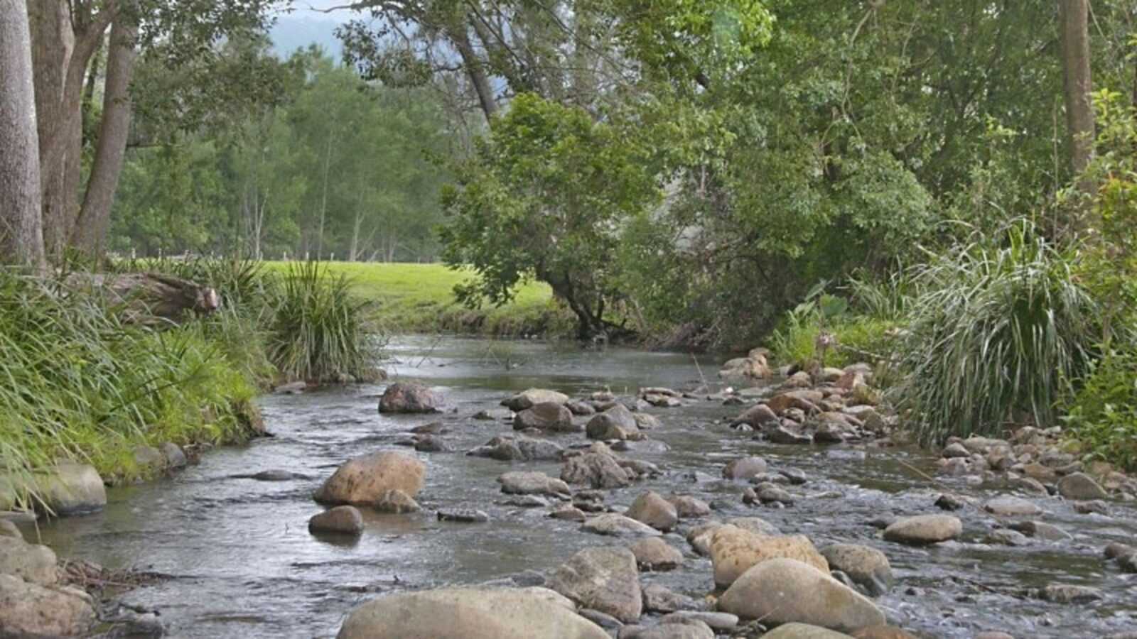 Crystal Creek