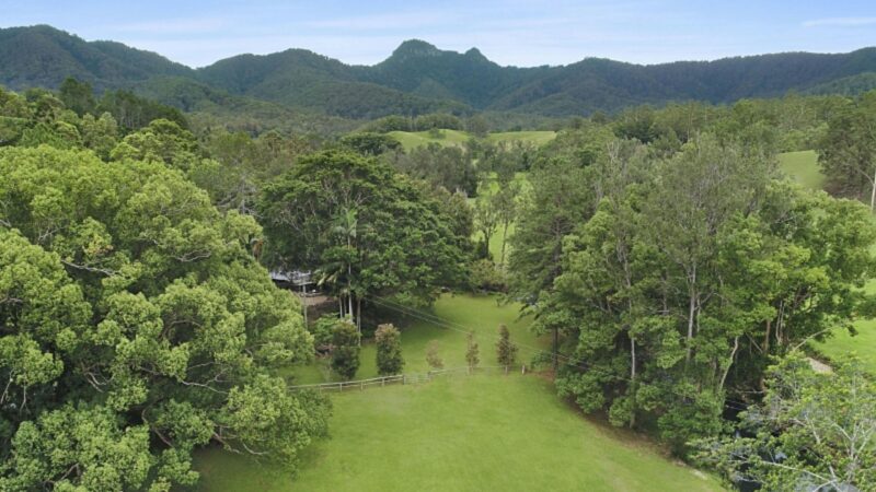 Green grass & mountain views