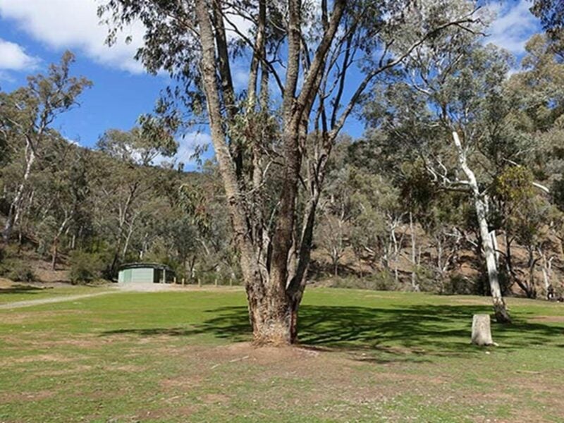 Grassy campsites near amenities block, Abercrombie Caves campground. Photo: Stephen Babka/DPIE