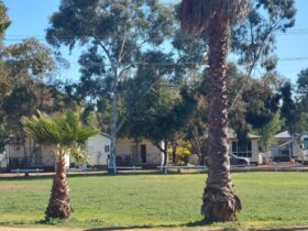 Ace Caravan Park