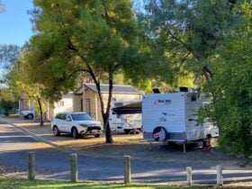 Ensuite Sites at Albury gardens Tourist Park