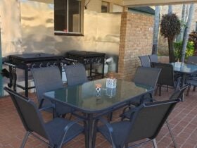 2 BBQS TABLES AND SEATING FOR 12