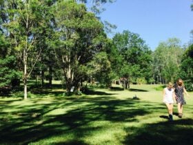 Main Camp