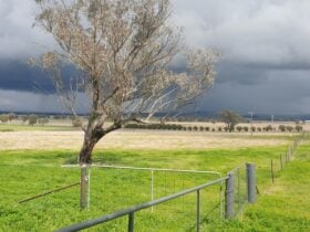 Ascot Park (currently unavailable)